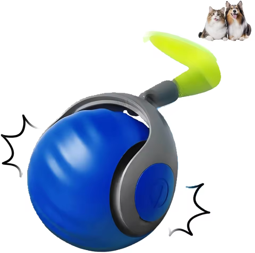 Katzen spielen Ball