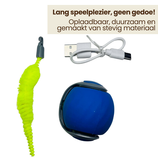 Katzen spielen Ball