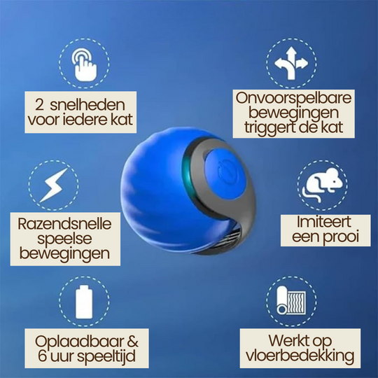 Katzen spielen Ball