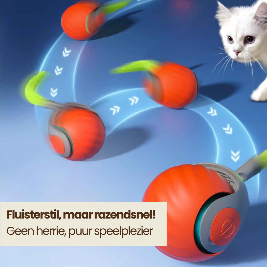 Katzen spielen Ball