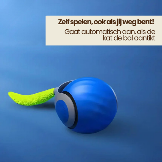Katzen spielen Ball